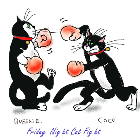 catfight