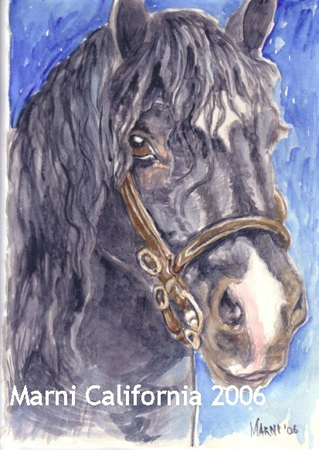 celt sketch 2006