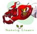 NADOLIG LLAWEN