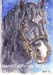 celt sketch 2006